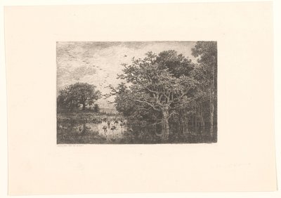 Moeras conoció a ooievaars El pantano de las cigüeñas de Charles Francois Daubigny