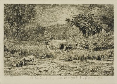 Cerdo en un huerto de Charles Francois Daubigny