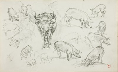 Bocetos de cerdos y un buey de Charles Francois Daubigny