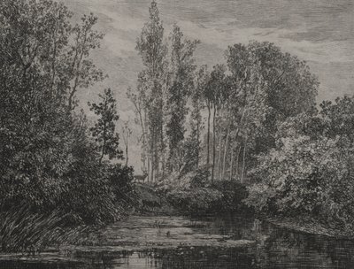 Ciervos en el borde del agua de Charles Francois Daubigny