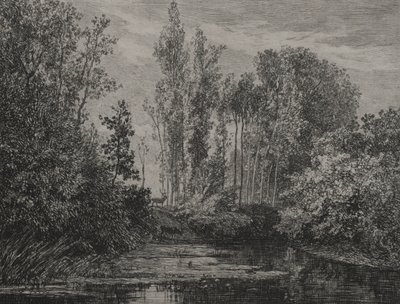 Ciervos en el borde del agua de Charles Francois Daubigny