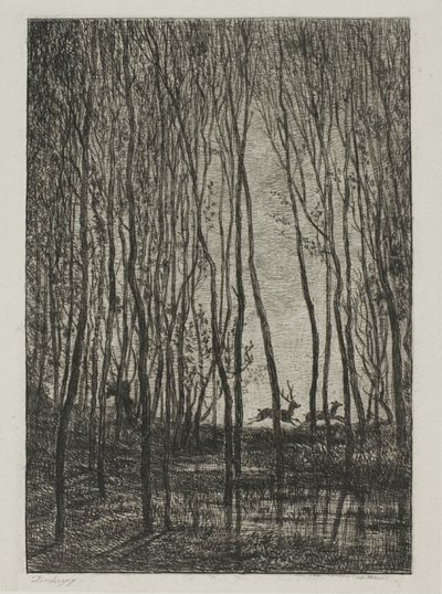 Ciervos en el bosque de Charles Francois Daubigny