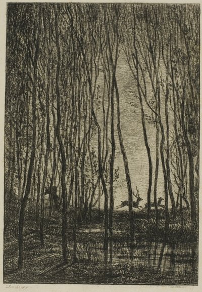 Ciervos en el Bosque de Charles Francois Daubigny