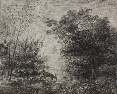 Ciervos, impresión original 1862, impreso en 1921 de Charles Francois Daubigny