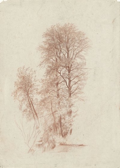 Estudio de dos árboles esbeltos y algunos más pequeños en hoja de Charles Francois Daubigny