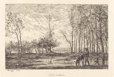 Atardecer de Charles Francois Daubigny