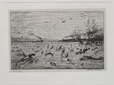 El Paseo en Barco: Regocijo de los Peces ante la Partida del Grumete (El Pez) de Charles Francois Daubigny