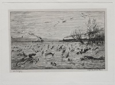 El viaje en barco: Regocijo de los peces por la partida del grumete, 1861 de Charles Francois Daubigny