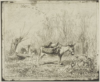 El burro en el prado de Charles Francois Daubigny