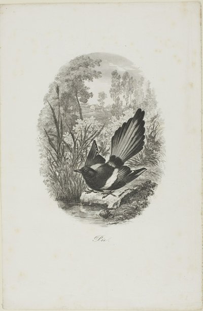 La urraca de Charles Francois Daubigny