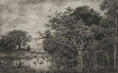 El pantano con cigüeñas de Charles Francois Daubigny