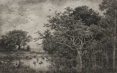 El Pantano con Cigüeñas, c. 1851 de Charles Francois Daubigny