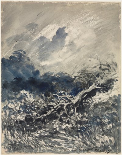 El roble y el junco, c. 1873 de Charles Francois Daubigny