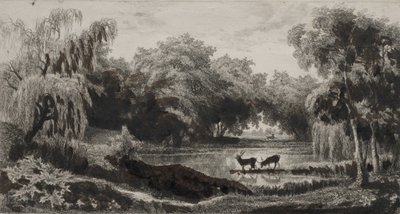 La piscina con ciervos, 1845 de Charles Francois Daubigny