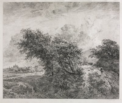 El Matorral, 1855 de Charles Francois Daubigny
