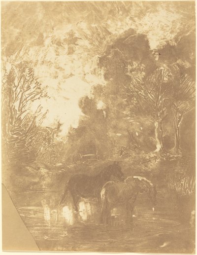 Dos caballos en un abrevadero de Charles Francois Daubigny