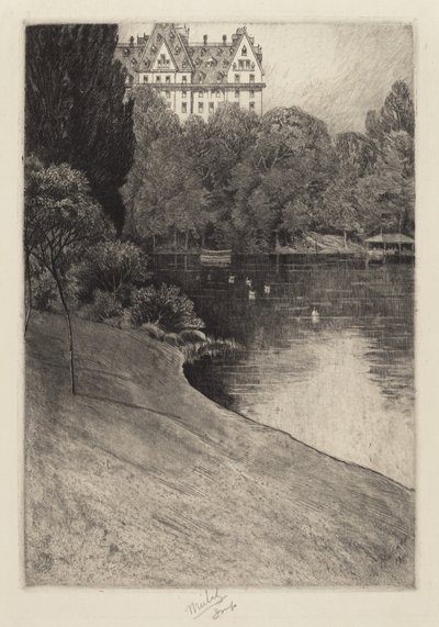 Parte de Central Park, probablemente 1918 de Charles Frederick William Mielatz