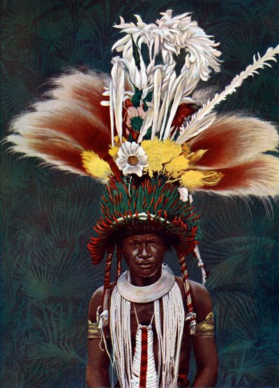 Un jefe Roro vestido para una danza ceremonial, Papúa Nueva Guinea, 1920 de Charles Gabriel Seligman