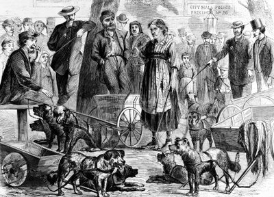 Recolección de trapos arrestados en el parque City Hall, Nueva York, de Harpers Weekly, pub. 1867 de Charles Green