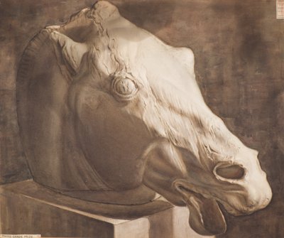 Estudio - Cabeza de caballo del Partenón de Charles Gustav Louis Phillips