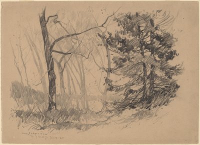 Interior de Madera de Charles H. Woodbury