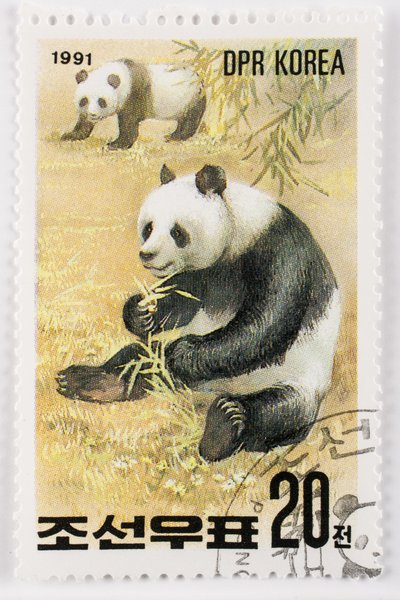 Sello, Corea del Norte, Ailuropoda melanoleuca, Gran panda, Panda gigante de Augustus Kollner
