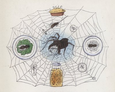 Araña en su telaraña rodeada de comida (grabado coloreado) de Charles Henry (after) Bennett