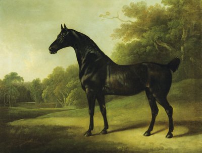 Un caballo bayo en un paisaje boscoso de Charles Henry Schwanfelder