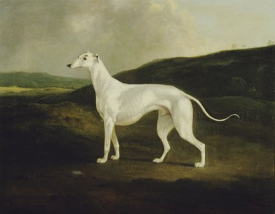 Un galgo en un paisaje de Charles Henry Schwanfelder