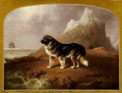 Un perro de Terranova de Charles Henry Schwanfelder