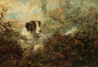 Perro de Charles Henry Schwanfelder
