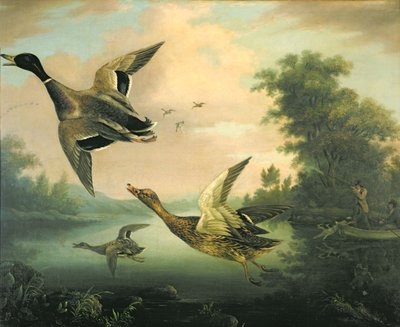 Caza de patos de Charles Henry Schwanfelder