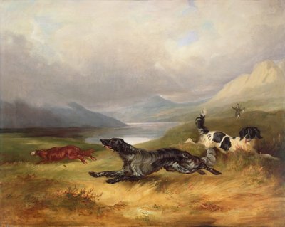 En el Rastro de Charles Henry Schwanfelder
