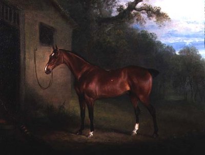Retrato de un Caballo Bay Atado a un Establo de Charles Henry Schwanfelder