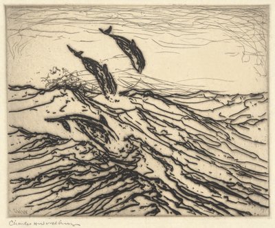 marsopas de Charles Herbert Woodbury