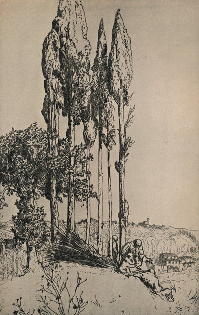 Árboles de ciprés cerca de Siena, 1903 de Charles Holroyd