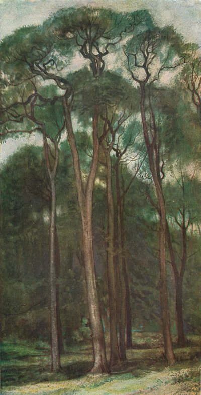 Estudio de árboles de Charles Holroyd