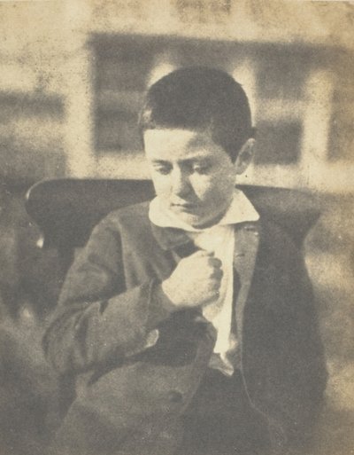 Hijo del General Flo, Isla de Jersey, c. 1852-53 de Charles Hugo