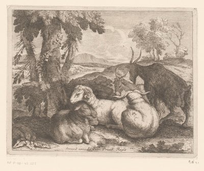 Ovejas y cabras debajo de un árbol Serie de animales (título de la serie) de Charles II Errard (attributed to)