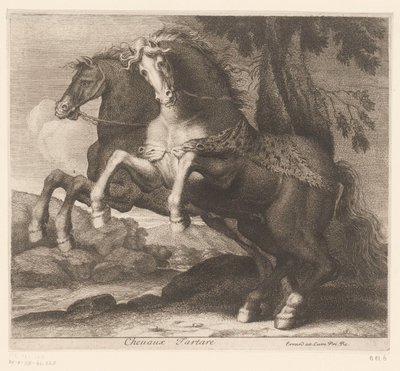 criando caballos Chevaux Tartare (título sobre el objeto) Serie de animales (título de la serie) de Charles II Errard (attributed to)