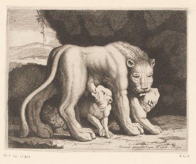 leona lactante Serie de animales (título de la serie) de Charles II Errard (attributed to)