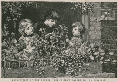 Recreaciones de los pobres de Londres: Jardinería en ventanas para niños de Charles J. Staniland