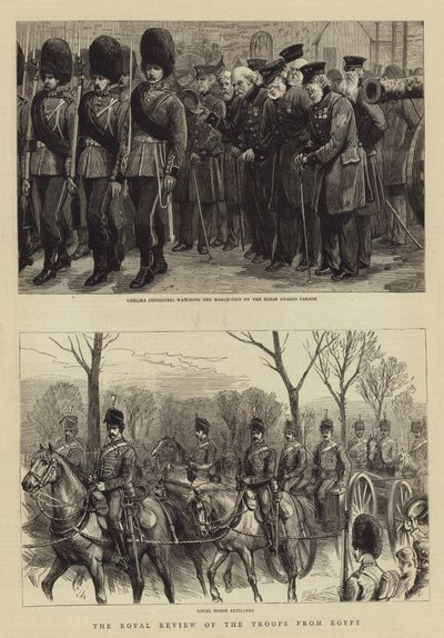 La revisión real de las tropas de Egipto de Charles J. Staniland