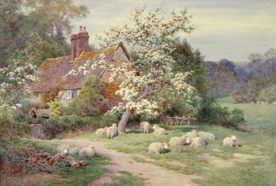 Ovejas fuera de una cabaña en primavera de Charles James Adams