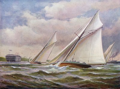Alas blancas de Charles John de Lacy