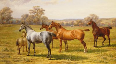 Caballos y Potro en un Campo de Charles Jones