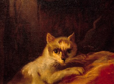 Mademoiselle de Charolais (detalle) de Charles Joseph Natoire