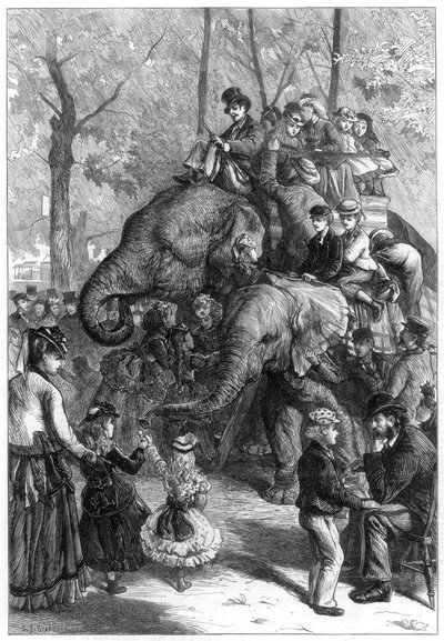 Lunes por la tarde en los jardines de la sociedad zoológica, 1871 de Charles Joseph Staniland