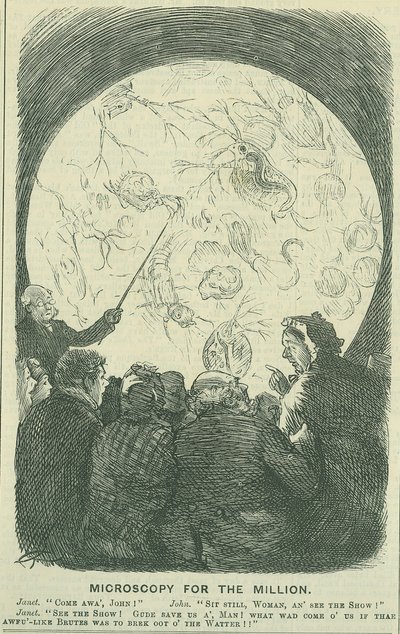 Microscopía para las masas: 1878 (grabado) de Charles Keene