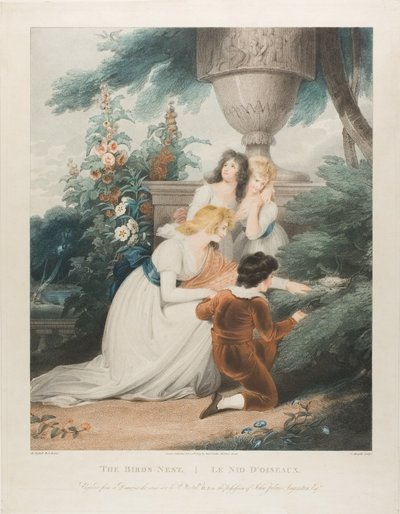 El nido del pájaro de Charles Knight